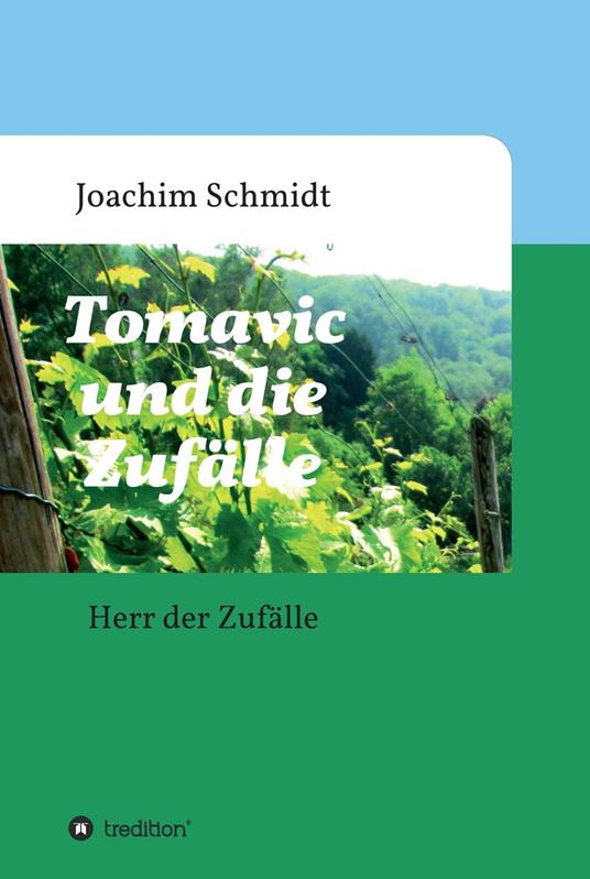 Tomavic und die Zufälle - Joachim Schmidt - ebook