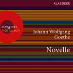 Novelle (Ungekürzte Lesung)