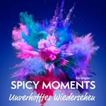 Unverhofftes Wiedersehen - Erotische Geschichte - spicy moments, Band 2 (Ungekürzte Lesung)