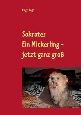 Sokrates Ein Mickerling - jetzt ganz groß - Birgit Vogt - cover