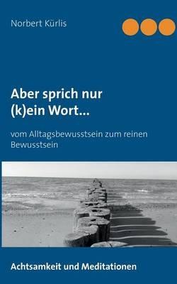 Aber sprich nur (k)ein Wort...: Vom Alltagsbewusstsein zum reinen Bewusstsein - Norbert Kürlis - cover