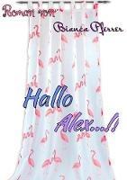 Hallo Alex - Bianca Pferrer - cover