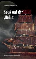Spuk auf der Hallig: Eine Seegeschichte von Friedrich Meister - Friedrich Meister - cover