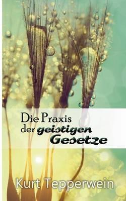 Die Praxis der geistigen Gesetze - Kurt Tepperwein - cover
