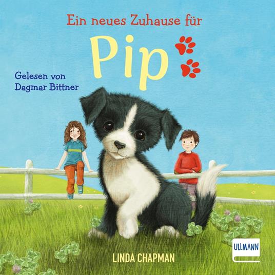 Ein neues Zuhause für Pip