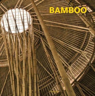 Bamboo - Simone Schleifer - cover