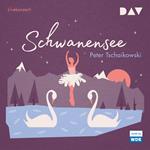 Schwanensee (Hörspiel Live)