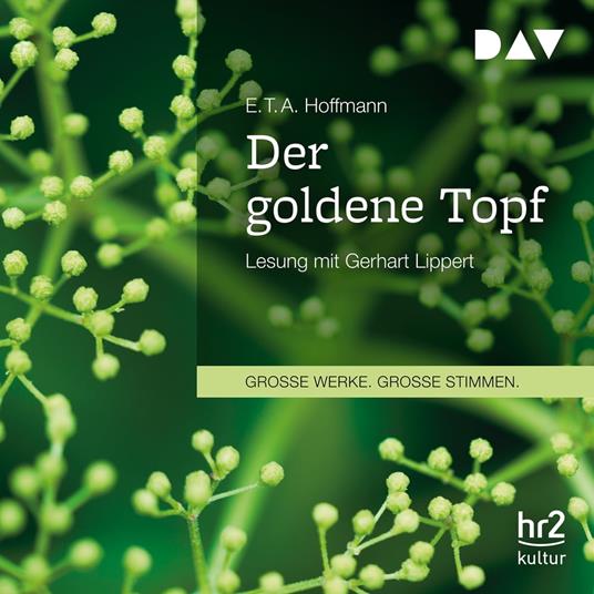 Der goldene Topf (Ungekürzt)