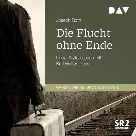 Die Flucht ohne Ende (Ungekürzt)