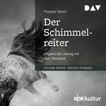 Der Schimmelreiter (Ungekürzt)