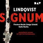 Signum - Stormland, Band 2 (Ungekürzt)