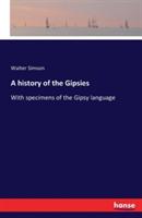 A history of the Gipsies: With specimens of the Gipsy language - Walter Simson - cover