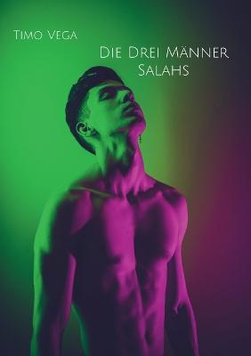 Die Drei Manner Salahs - Timo Vega - cover