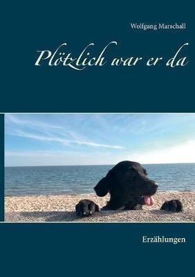 Plötzlich war er da: Erzählungen - Wolfgang Marschall - cover