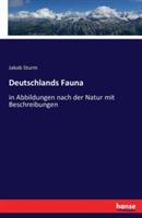 Deutschlands Fauna: in Abbildungen nach der Natur mit Beschreibungen - Jacob Sturm - cover
