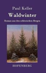 Waldwinter: Roman aus den schlesischen Bergen