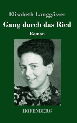 Gang durch das Ried: Roman - Elisabeth Langgässer - cover