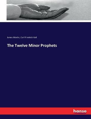 The Twelve Minor Prophets - Carl Friedrich Keil,James Martin - cover