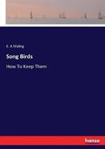 Song Birds: How To Keep Them