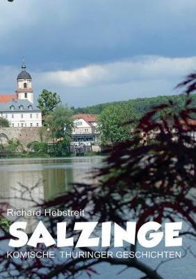 Salzinge: Komische Thuringer Geschichten - Richard Hebstreit - cover