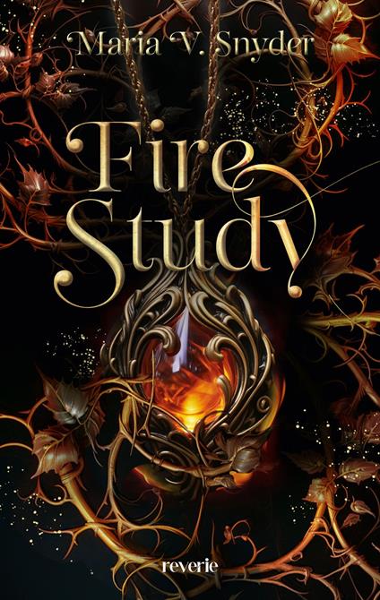 Fire Study - Snyder Maria V.,Rainer Nolden - ebook