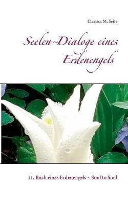 Seelen-Dialoge eines Erdenengels: 11. Buch eines Erdenengels - Soul to Soul - Clarissa M Seite - cover