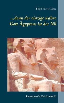 ...denn der einzige wahre Gott Ägyptens ist der Nil: Roman aus der Zeit Ramses II. - Birgit Furrer-Linse - cover