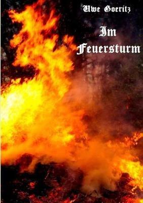 Im Feuersturm: Grete Minde - Uwe Goeritz - cover