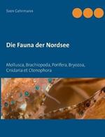 Die Fauna der Nordsee: Mollusca, Brachiopoda, Porifera, Bryozoa, Cnidaria et Ctenophora