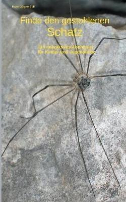 Finde den gestohlenen Schatz: Ein interaktives Abenteuer für Kinder und Jugendliche - Hans-Jürgen Soll - cover