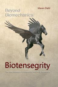 Beyond Biomechanics - Biotensegrity