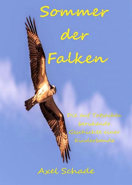 Sommer der Falken - Axel Schade - ebook