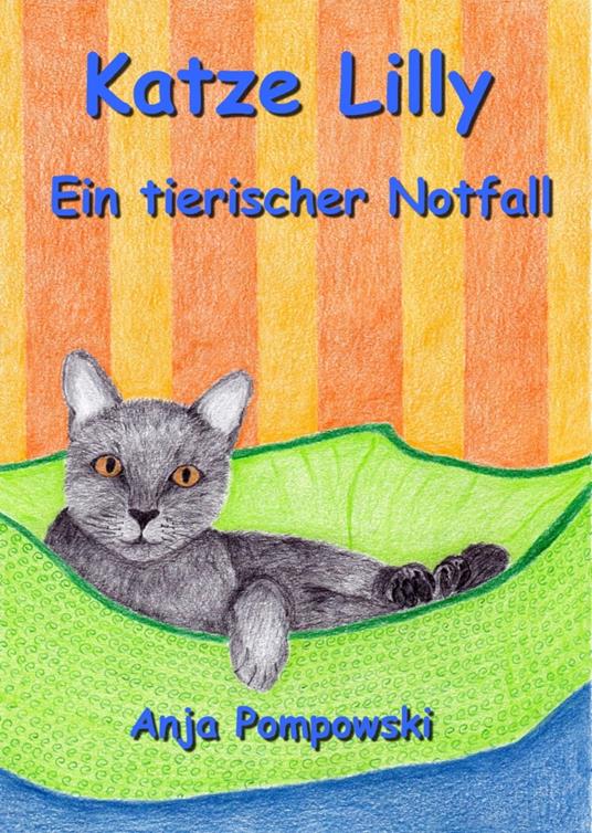 Katze Lilly – Ein tierischer Notfall - Anja Pompowski - ebook