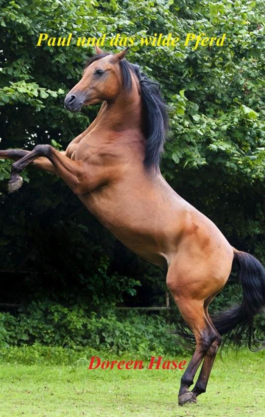 Paul und das wilde Pferd (Band 1) - Doreen Hase - ebook