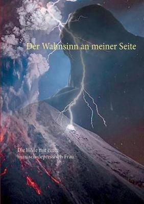 Der Wahnsinn an meiner Seite: Die Hölle mit einer manisch-depressiven Frau - Peter Fischer - cover