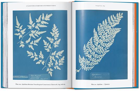 Anna Atkins. Cyanotypes. 45th Ed. Ediz. inglese, francese e tedesca - 2