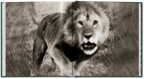 Peter Beard. The end of the game. Ediz. inglese - Peter Beard - 2