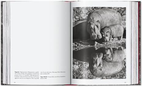 Sebastião Salgado. Genesi. 45th Ed. Ediz. italiana - Sebastião Salgado - 2