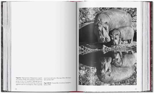 Sebastião Salgado. Genesi. 45th Ed. Ediz. italiana - Sebastião Salgado - 2