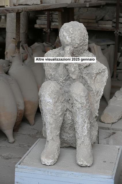 Altre visualizzazioni 2025 gennaio - Eduard Wagner - ebook