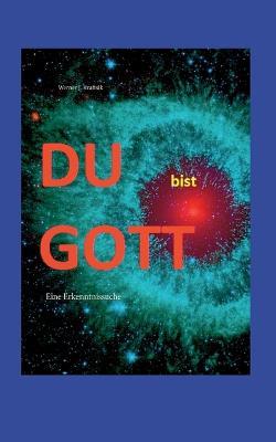 DU bist GOTT: Eine Erkenntnissuche - Werner J Kraftsik - cover