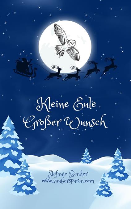 Kleine Eule - Großer Wunsch - Stefanie Bender - ebook
