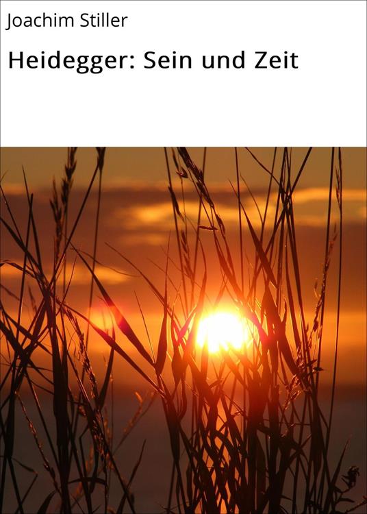 Heidegger: Sein und Zeit