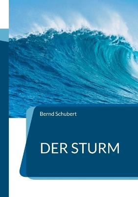 Der Sturm - Bernd Schubert - cover