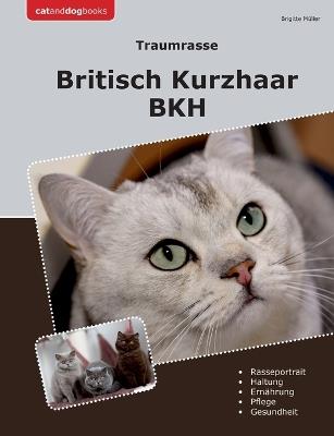 Traumrasse Britisch Kurzhaar: Bkh - Brigitte Müller - cover