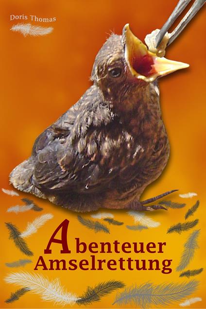 Abenteuer Amselrettung - Doris Thomas - ebook