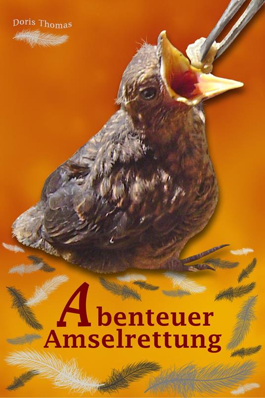 Abenteuer Amselrettung - Doris Thomas - ebook