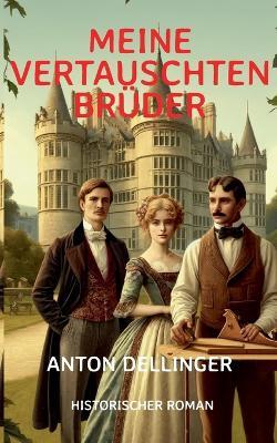 Meine vertauschten Brüder - Anton Dellinger - cover
