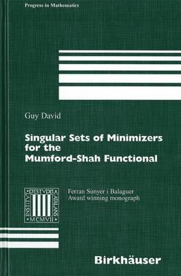 Singular Sets of Minimizers for the Mumford-Shah Functional - Guy David - cover