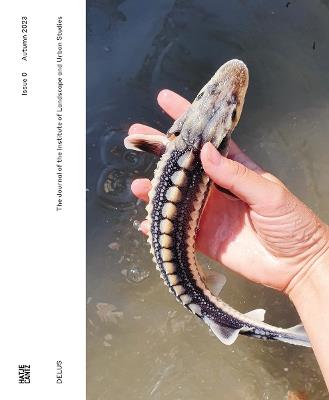 DELUS: Issue 0: The Journal of the Institute of Landscape and Urban Studies - cover